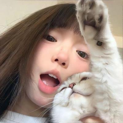 双龙会粤语