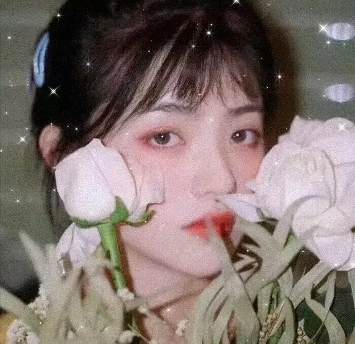 比基尼月亮